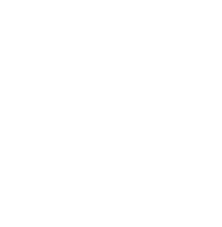 icon produzione