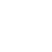 icon selezione