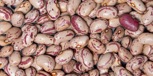 produzione